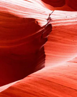 Antelope Curve